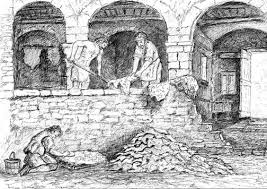 CURIOSITY ABOUT TANNING